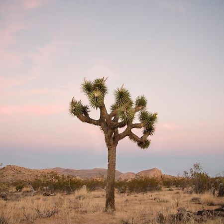 Modern Desert Dream - New Build Twentynine Palms Esterno foto