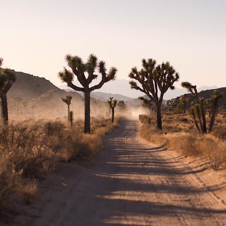 Modern Desert Dream - New Build Twentynine Palms Esterno foto