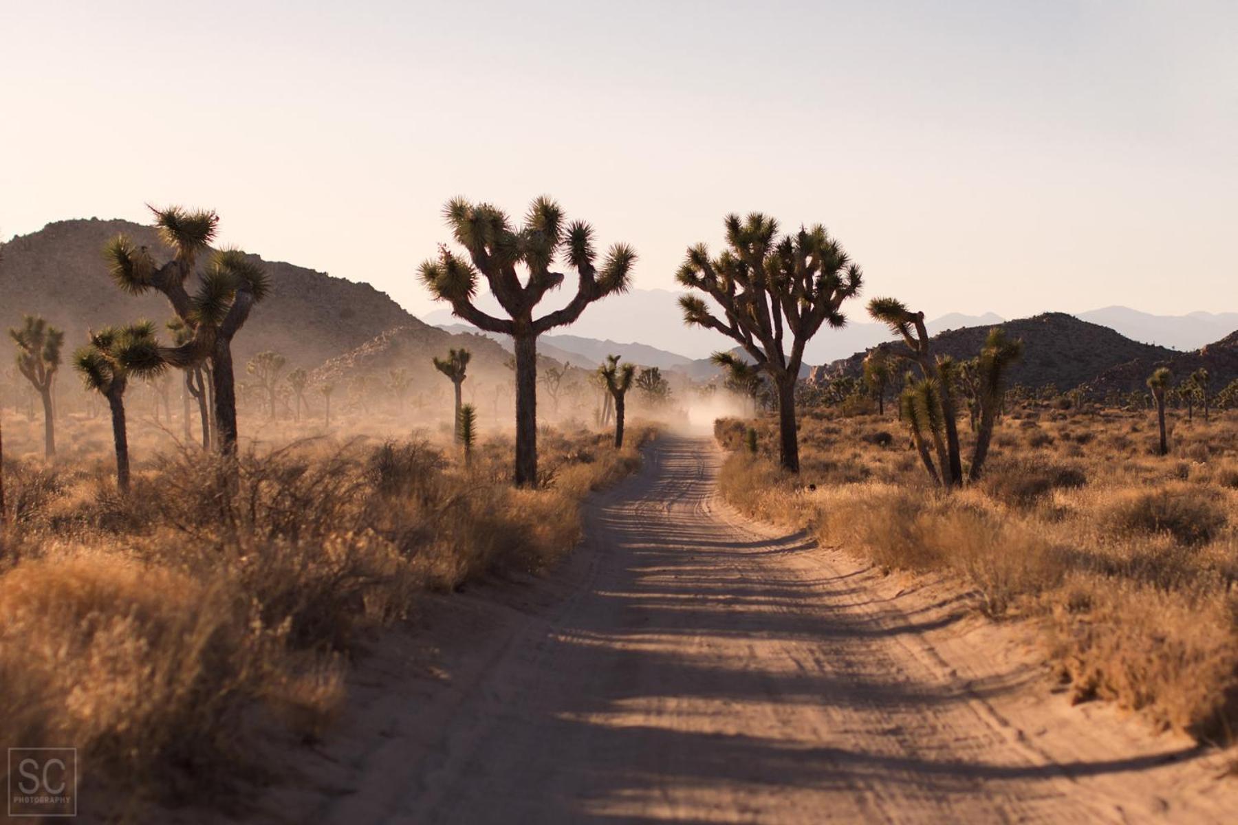 Modern Desert Dream - New Build Twentynine Palms Esterno foto